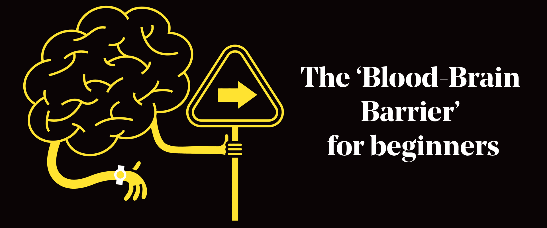 blood-brain-barrier-beginners-banner