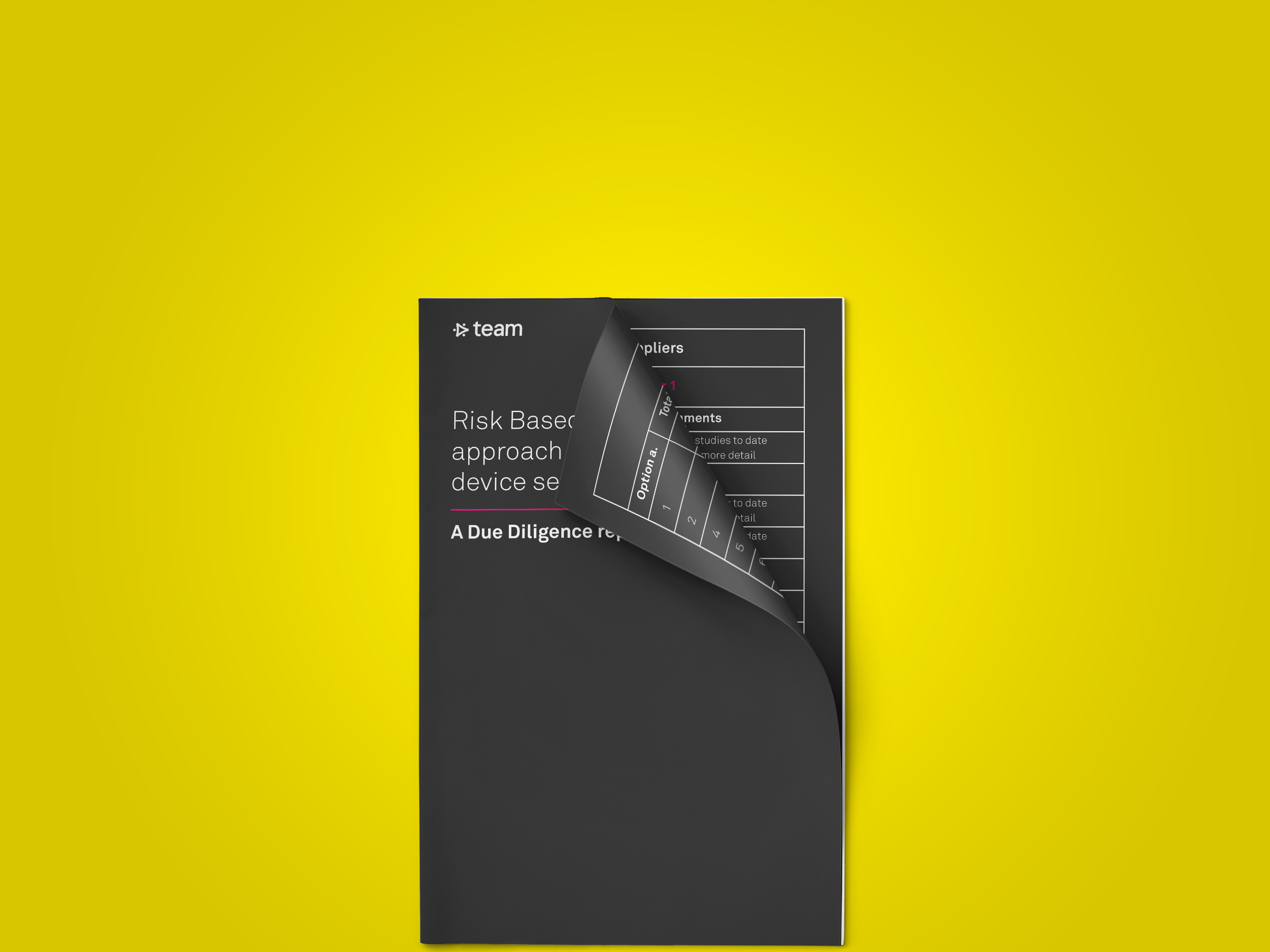 Due-diligence-report-banner