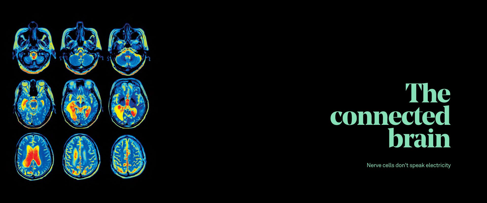 Connected brain banner