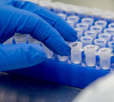 blue gloved hand with sample vials
