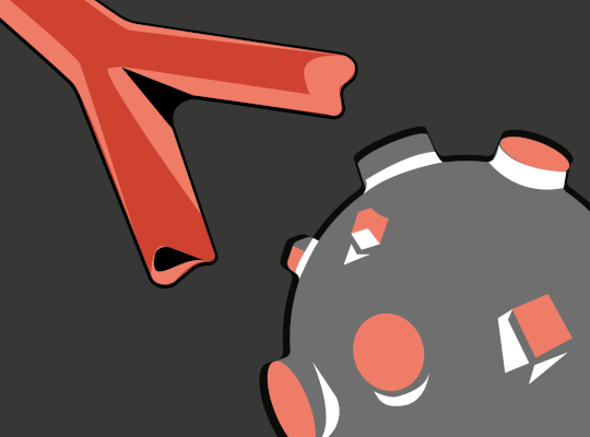 antibody antigen binding