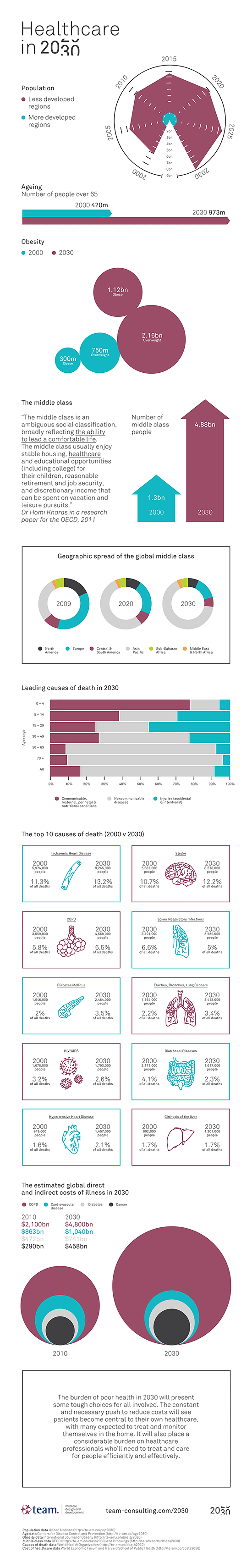 healthcare-in-2030-team-consulting-infographic-5502