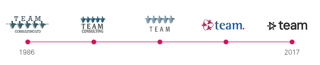 team-consulting-brand-timeline