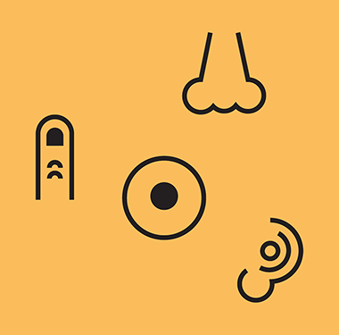 Multi-sensory experiences