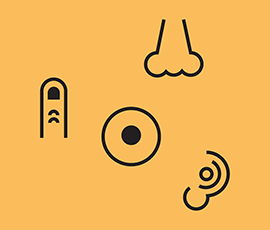 Multi-sensory experiences