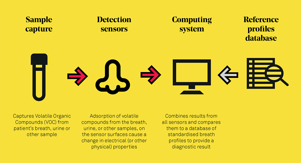 The-key-principles-of-an-e-nose