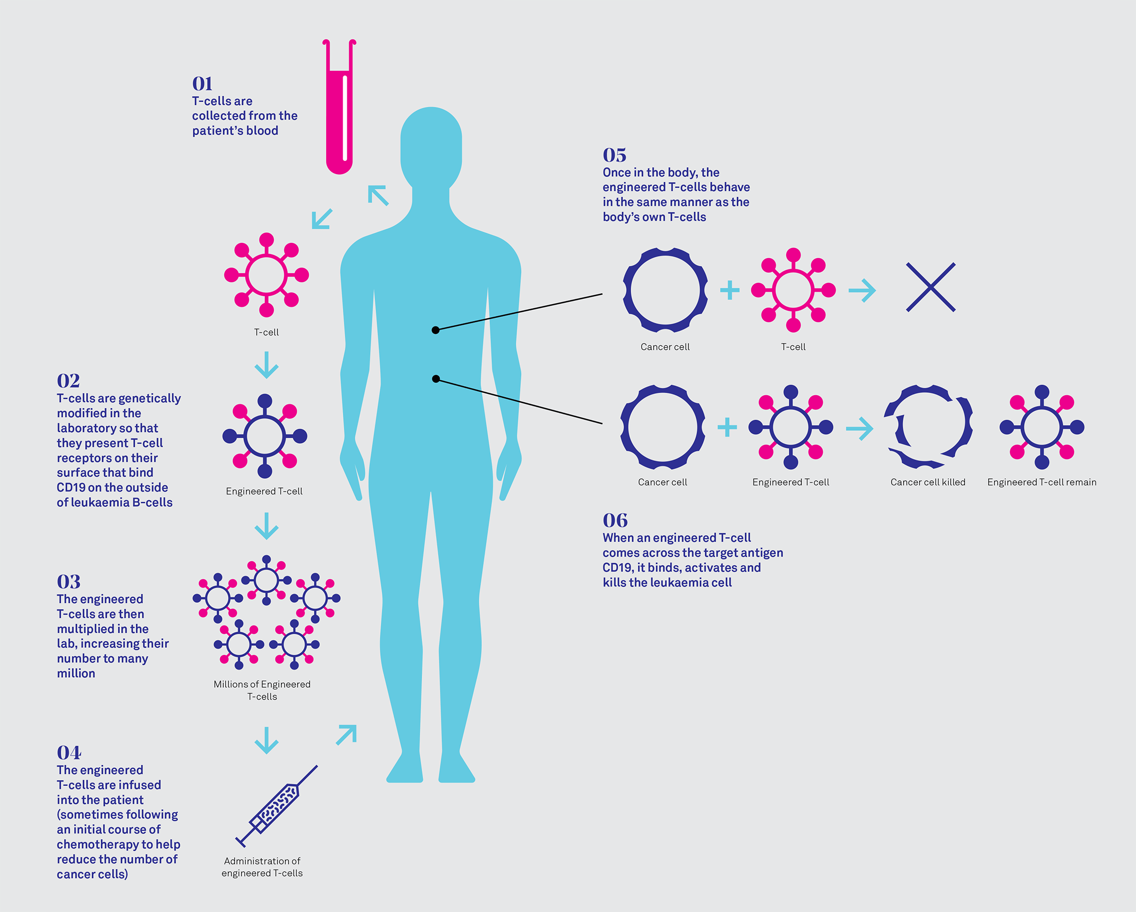 T-cell-therapy-figure-1