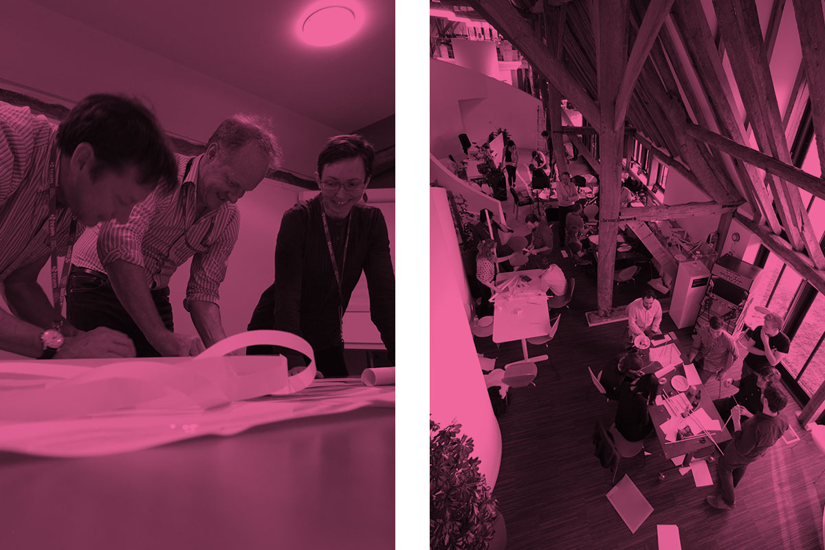 team-working-in-the-barn