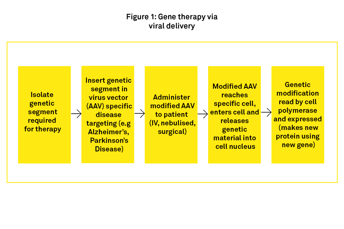 gene-therapy-via-viral-delivery-figure-1-excipients