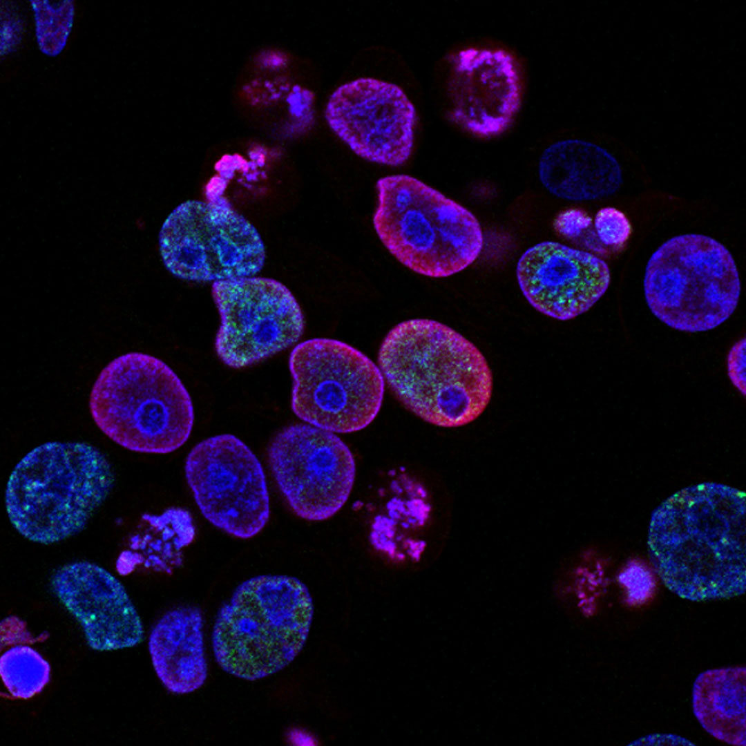 Life-science-square-image